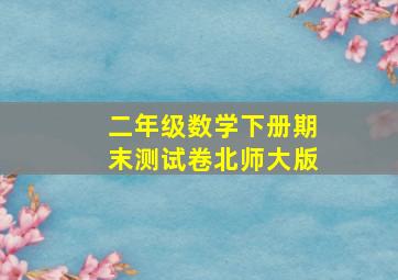 二年级数学下册期末测试卷北师大版