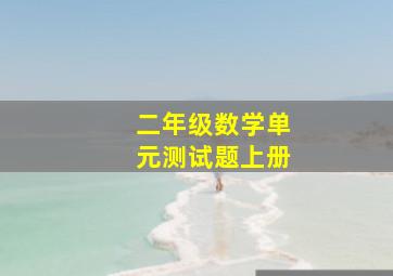 二年级数学单元测试题上册