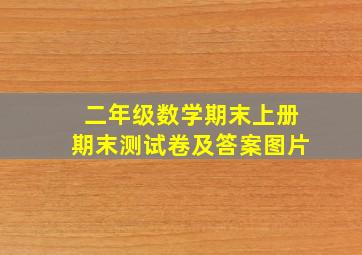 二年级数学期末上册期末测试卷及答案图片