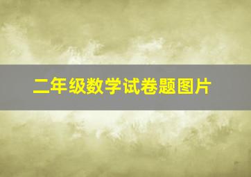 二年级数学试卷题图片