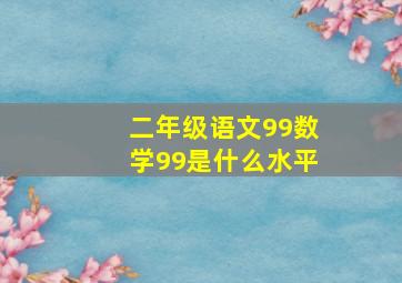 二年级语文99数学99是什么水平