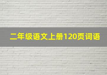 二年级语文上册120页词语