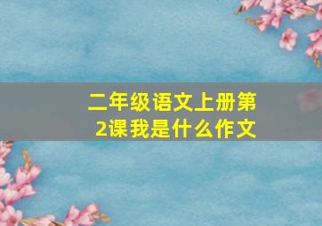 二年级语文上册第2课我是什么作文