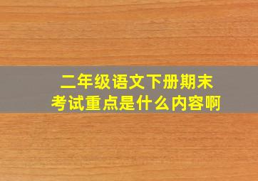 二年级语文下册期末考试重点是什么内容啊