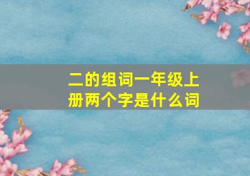 二的组词一年级上册两个字是什么词