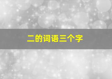 二的词语三个字