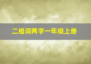 二组词两字一年级上册