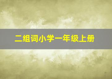 二组词小学一年级上册