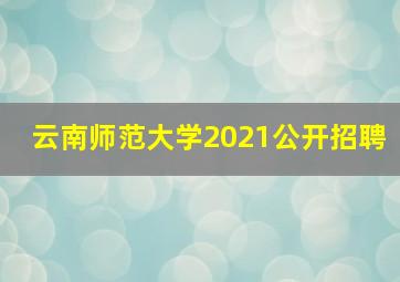 云南师范大学2021公开招聘