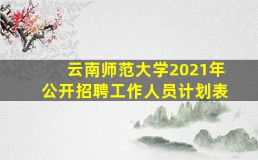 云南师范大学2021年公开招聘工作人员计划表