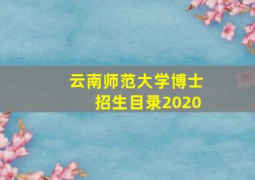 云南师范大学博士招生目录2020