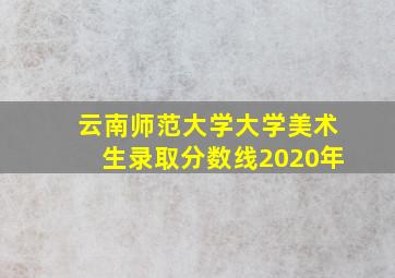 云南师范大学大学美术生录取分数线2020年