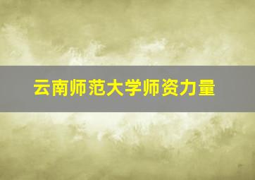 云南师范大学师资力量