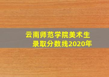 云南师范学院美术生录取分数线2020年