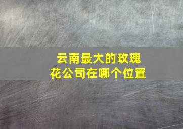 云南最大的玫瑰花公司在哪个位置