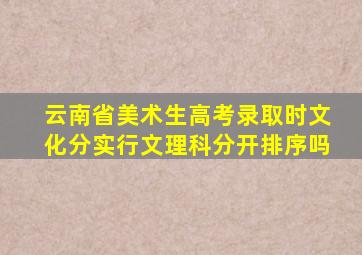 云南省美术生高考录取时文化分实行文理科分开排序吗