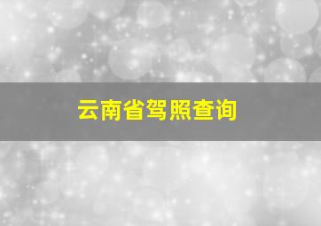 云南省驾照查询