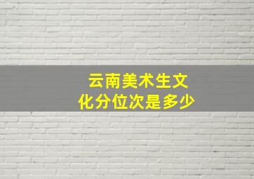 云南美术生文化分位次是多少