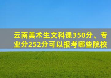 云南美术生文科课350分、专业分252分可以报考哪些院校