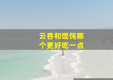 云吞和馄饨哪个更好吃一点