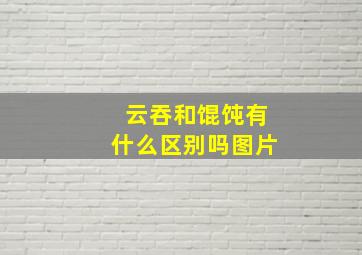 云吞和馄饨有什么区别吗图片