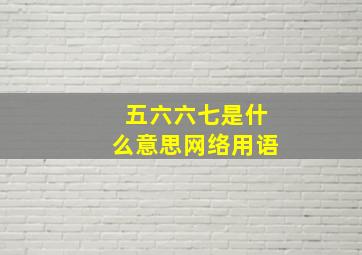 五六六七是什么意思网络用语