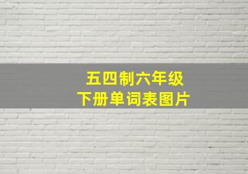 五四制六年级下册单词表图片