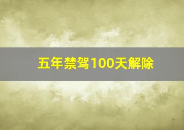 五年禁驾100天解除