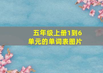 五年级上册1到6单元的单词表图片