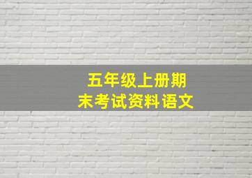 五年级上册期末考试资料语文