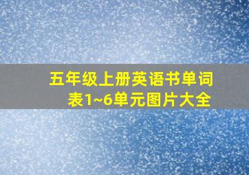 五年级上册英语书单词表1~6单元图片大全