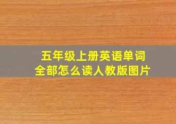 五年级上册英语单词全部怎么读人教版图片