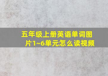 五年级上册英语单词图片1~6单元怎么读视频