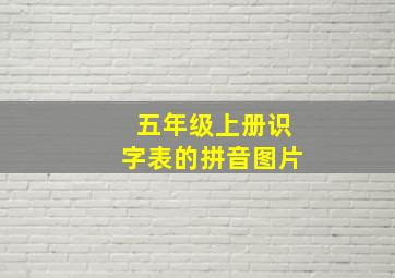 五年级上册识字表的拼音图片