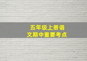 五年级上册语文期中重要考点