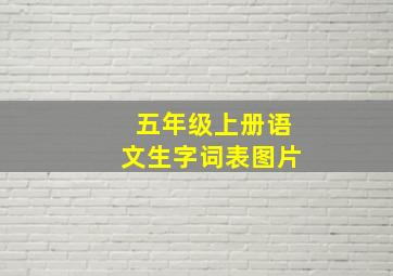 五年级上册语文生字词表图片