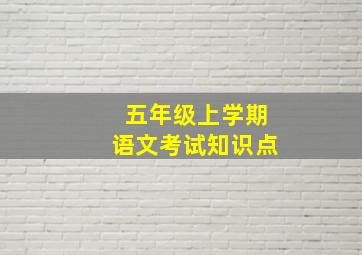 五年级上学期语文考试知识点