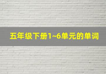 五年级下册1~6单元的单词