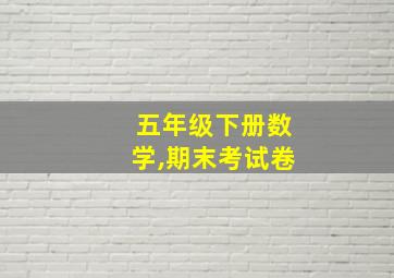 五年级下册数学,期末考试卷