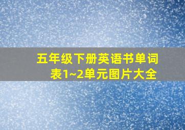 五年级下册英语书单词表1~2单元图片大全