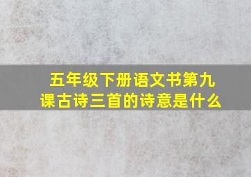 五年级下册语文书第九课古诗三首的诗意是什么