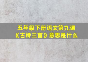 五年级下册语文第九课《古诗三首》意思是什么