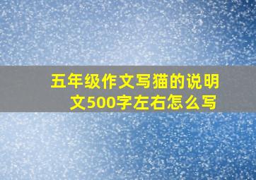 五年级作文写猫的说明文500字左右怎么写