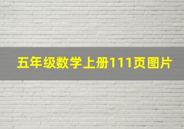 五年级数学上册111页图片