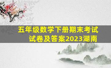 五年级数学下册期末考试试卷及答案2023湖南