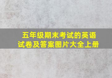 五年级期末考试的英语试卷及答案图片大全上册