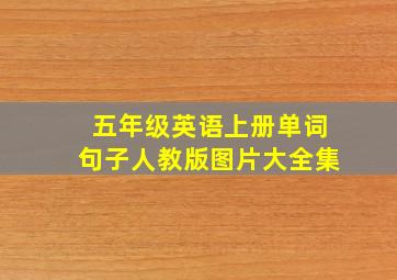 五年级英语上册单词句子人教版图片大全集