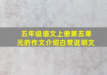 五年级语文上册第五单元的作文介绍白鹭说明文