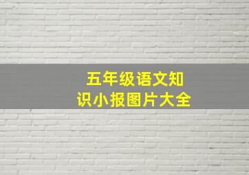 五年级语文知识小报图片大全