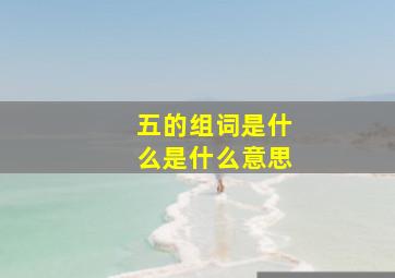 五的组词是什么是什么意思